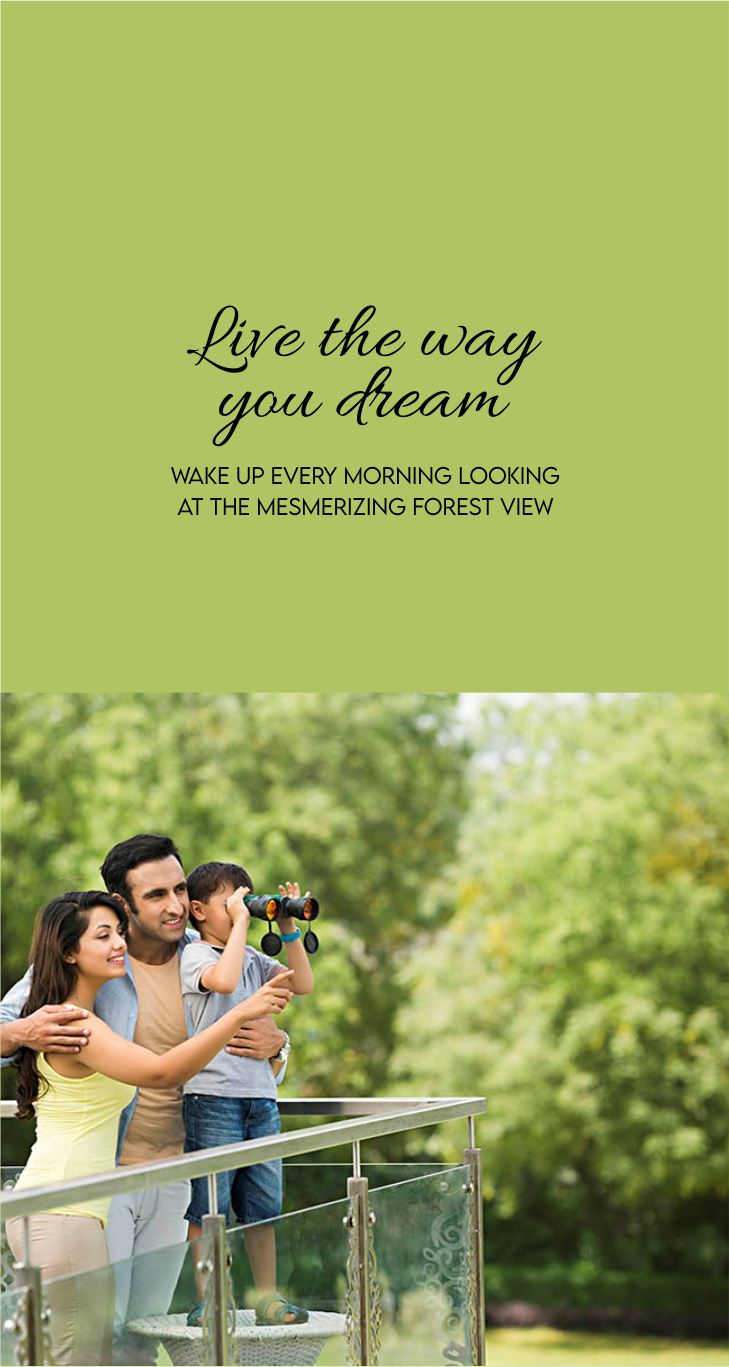 home page mobile - 2